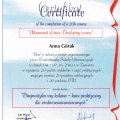 Powiększ obraz: certificate 2