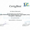 Powiększ obraz: certificate 15