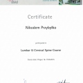 Powiększ obraz: certificate 7