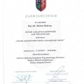 Powiększ obraz: certificate 8