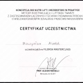 Powiększ obraz: certificate 7