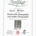 Powiększ obraz: certificate 10