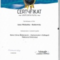 Powiększ obraz: certificate 17