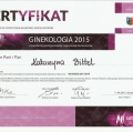Powiększ obraz: certificate 6