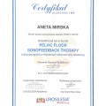 Powiększ obraz: certificate 4