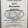 Powiększ obraz: certificate 26