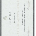 Powiększ obraz: certificate 5