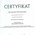 Powiększ obraz: certificate 3