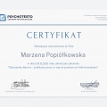 Powiększ obraz: certificate 9