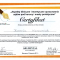 Powiększ obraz: certificate 2
