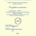 Powiększ obraz: certificate 3