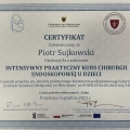 Powiększ obraz: certificate 13