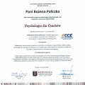 Powiększ obraz: certificate 12