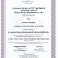 Powiększ obraz: certificate 3
