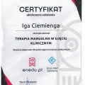 Powiększ obraz: certificate 13