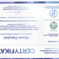 Powiększ obraz: certificate 1