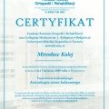 Powiększ obraz: certificate 3