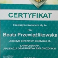 Powiększ obraz: certificate 10