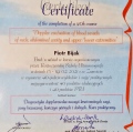 Powiększ obraz: certificate 2