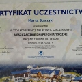 Powiększ obraz: certificate 9