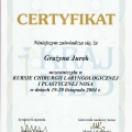 Powiększ obraz: certificate 29