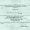 Powiększ obraz: certificate 20