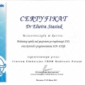 Powiększ obraz: certificate 2