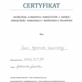 Powiększ obraz: certificate 2