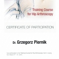 Powiększ obraz: certificate 5
