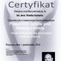 Powiększ obraz: certificate 11