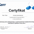 Powiększ obraz: certificate 12