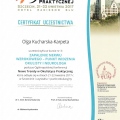 Powiększ obraz: certificate 3