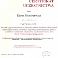 Powiększ obraz: certificate 3