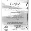Powiększ obraz: certificate 1