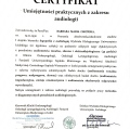 Powiększ obraz: certificate 6