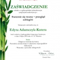 Powiększ obraz: certificate 1