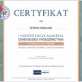 Powiększ obraz: certificate 33