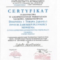 Powiększ obraz: certificate 3