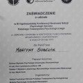 Powiększ obraz: certificate 2