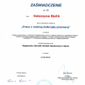 Powiększ obraz: certificate 13
