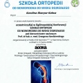 Powiększ obraz: certificate 11