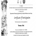 Powiększ obraz: certificate 3
