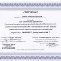 Powiększ obraz: certificate 5