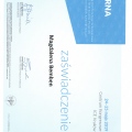 Powiększ obraz: certificate 24