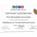 Powiększ obraz: certificate 4