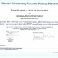Powiększ obraz: certificate 4