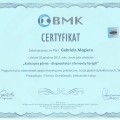 Powiększ obraz: certificate 6