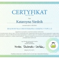 Powiększ obraz: certificate 49