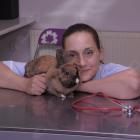 lek. wet. Paula Dziubińska-Bartylak