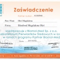 Powiększ obraz: certificate 28